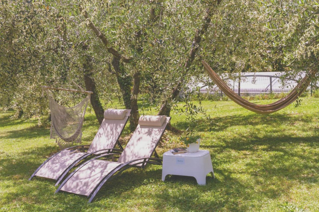 Al Gattosaggio Bed & Breakfast Montecarlo Exterior photo